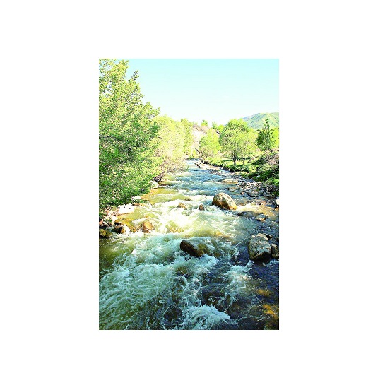 قۇمداعى التىن قابىرشاقتار سىرى