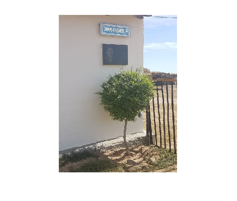 تولەگەن تەرەگى