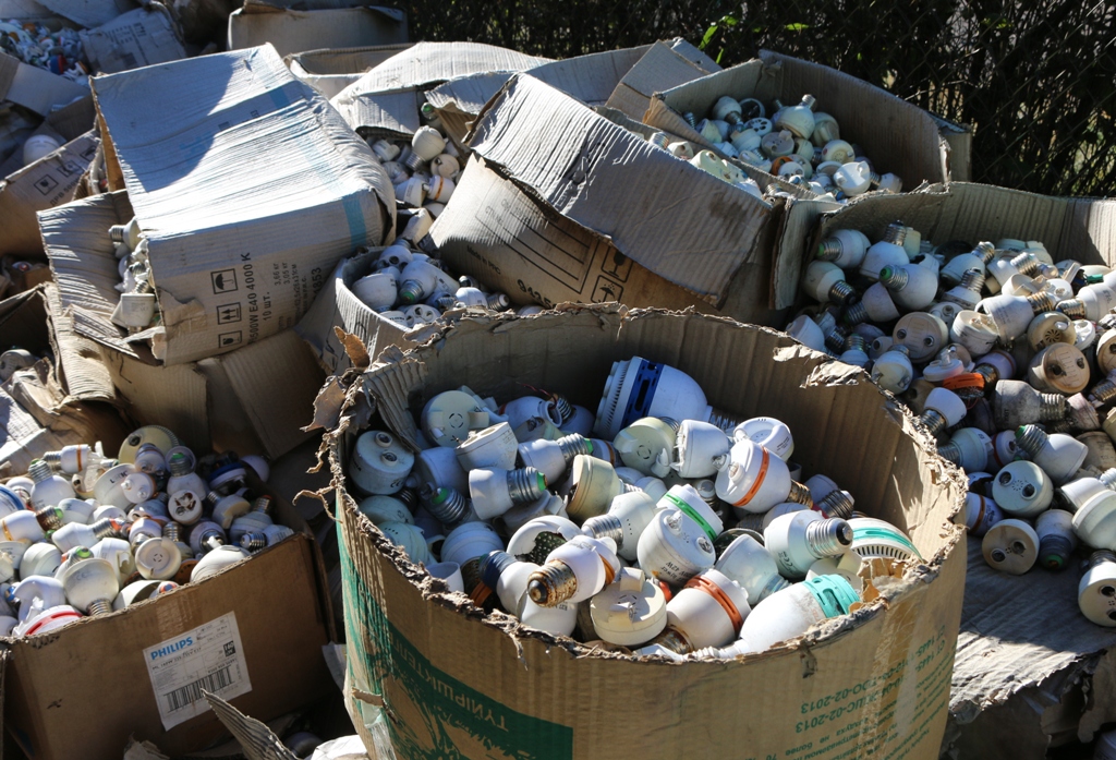  پاۆلودار وبلىسىندا قۇرامىندا سىنابى بار شامدار جويىلۋدا