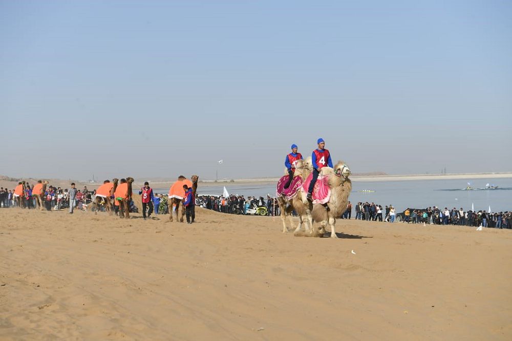 شاردارا جاعاجايى شاقىرادى