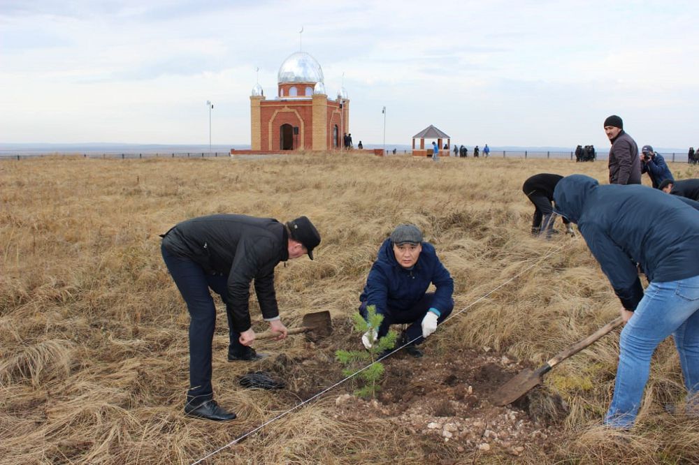 كوزلوۆتىڭ كىسى قىزىعارلىق ءىسى