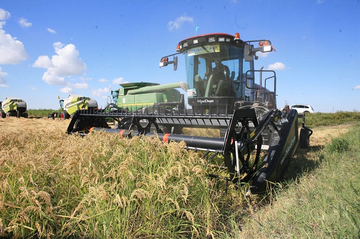 قىزىلوردادا 500 مىڭ توننادان استام ءونىم جينالدى