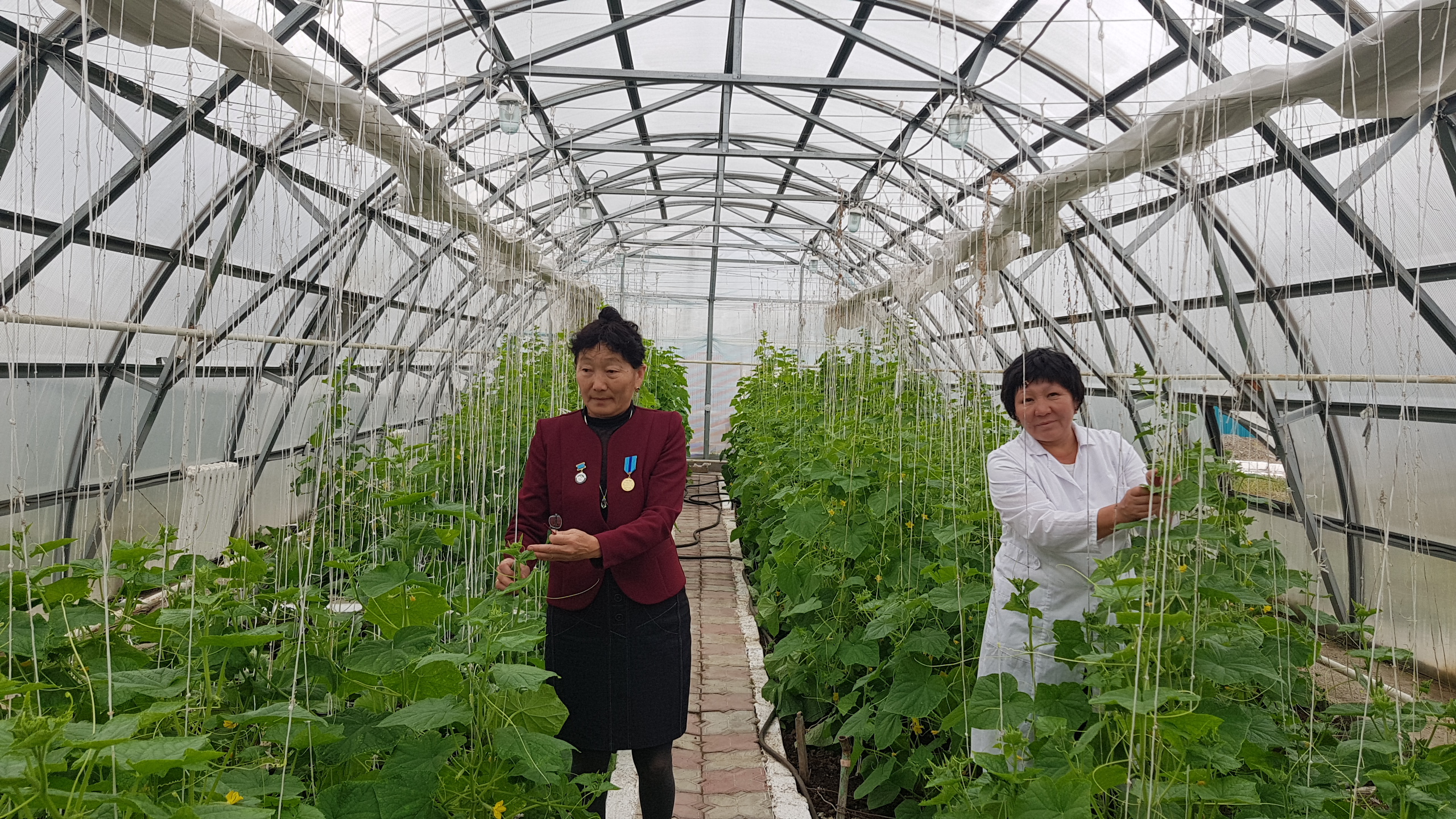 شقو-نىڭ تارباعاتاي اۋدانىندا جىلىجايلارى بار بالاباقشا جۇمىس ىستەيدى