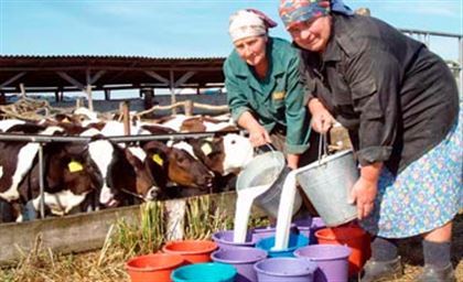 اۋىل ايەلدەرىنىڭ ءرولى ايرىقشا اتالدى 