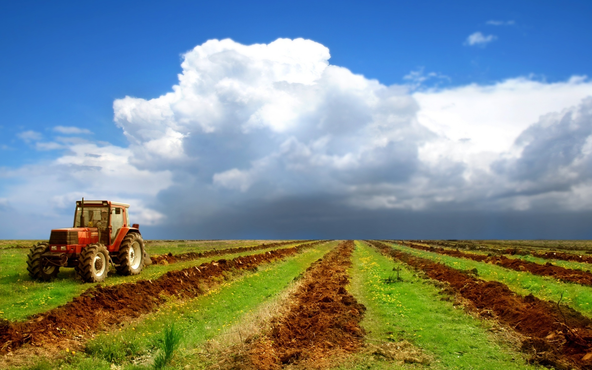 ماۋلەن اشىمباەۆ اۋىل شارۋاشىلىعى قىزمەتكەرلەرىن كاسىبي مەرەكەلەرىمەن قۇتتىقتادى