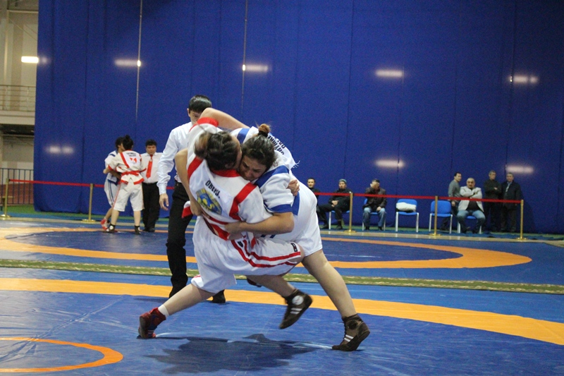 سولتۇستىك قازاقستاندا وتكەن ەل بىرىنشىلىگىندە ن. جارىلعاپوۆ «تۇيە پالۋان» اتاندى