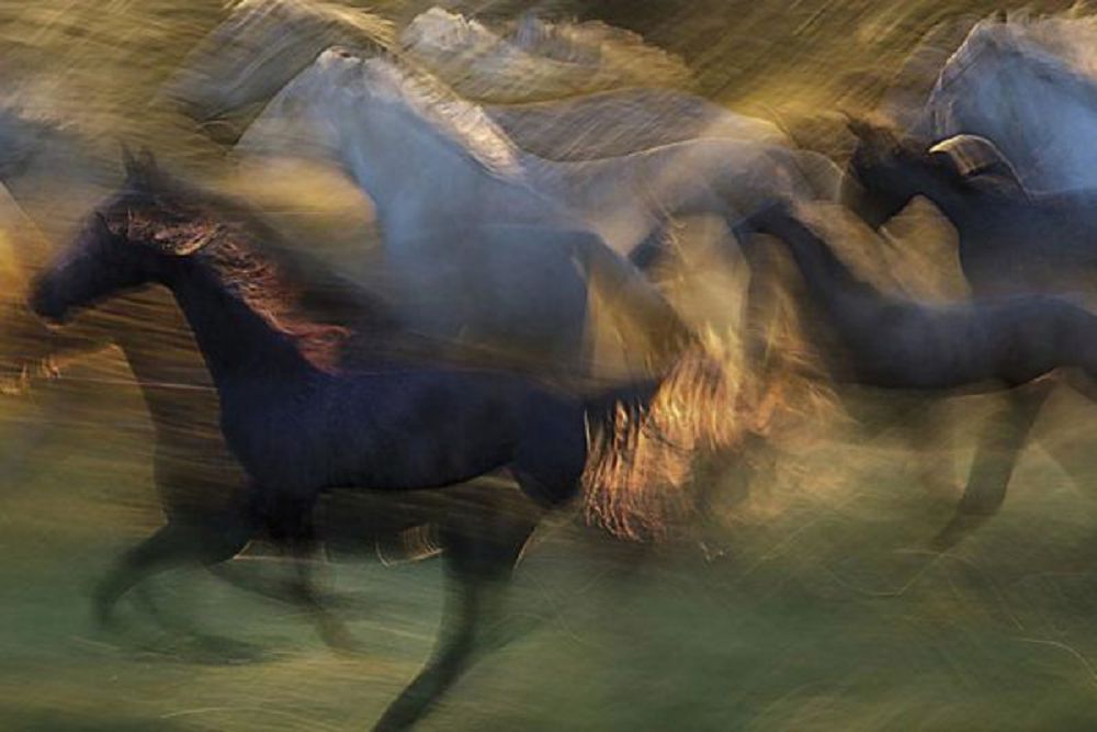 بارىمتاشىلار نەگە باسىنادى؟