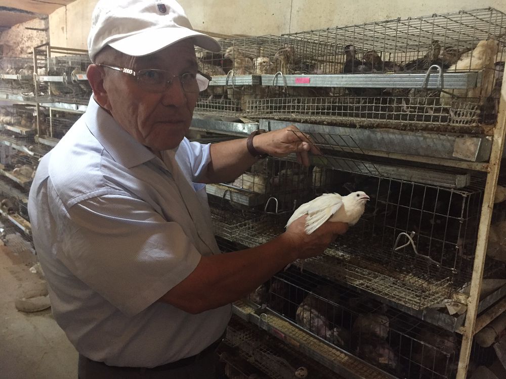 بودەنە شارۋاشىلىعىنىڭ ءباسى جوعارى