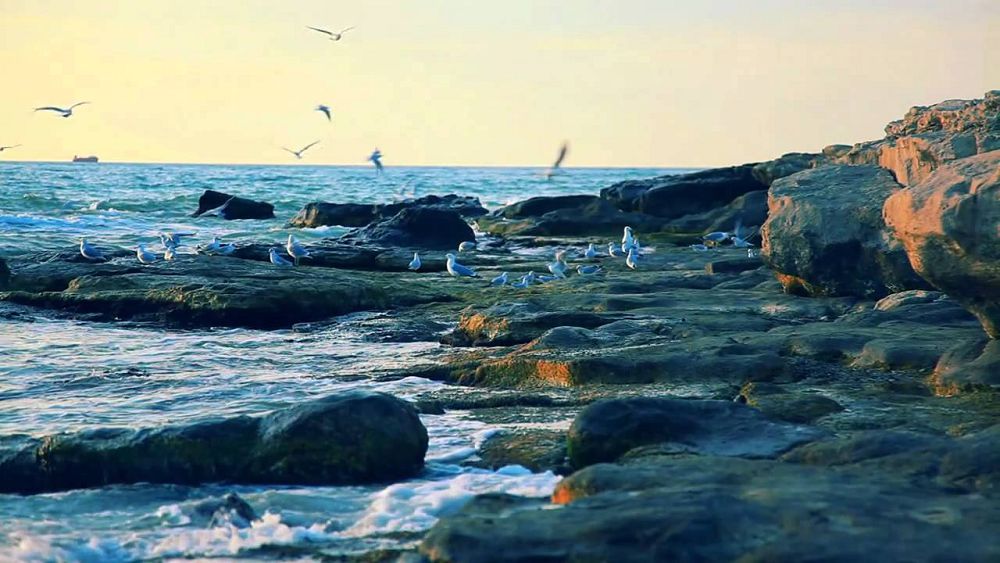 كاسپي كونۆەنتسياسىنىڭ ماڭىزى ۋاقىت وتكەن سايىن ارتا بەرەدى