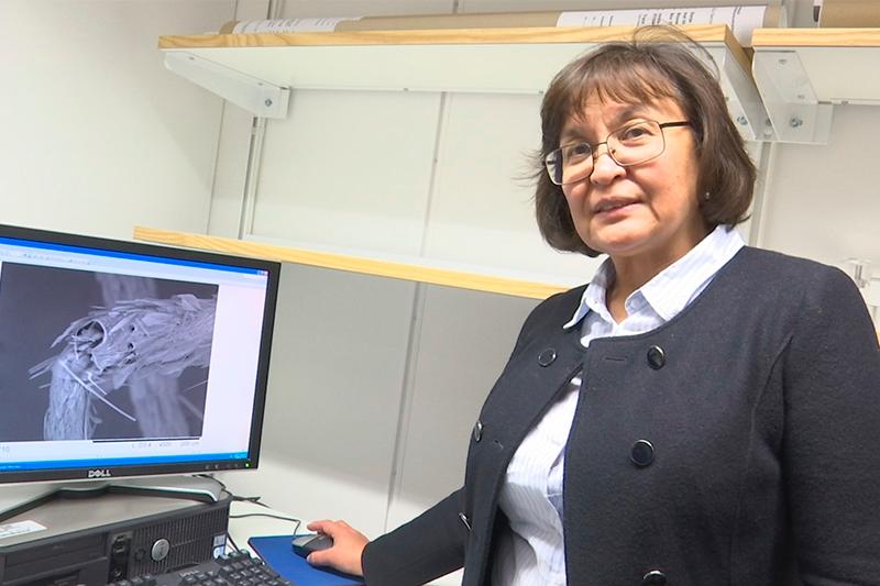 قازاق عالىمى شۆەتسيادا سۋ تازارتۋدىڭ ەكولوگيالىق تازا ءادىسىن ويلاپ تاپتى