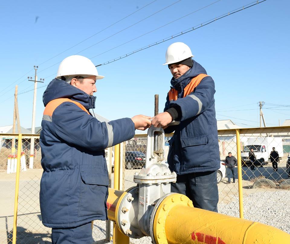 اۋىلدارعا كوگىلدىر وتىن كەلىپ جاتىر