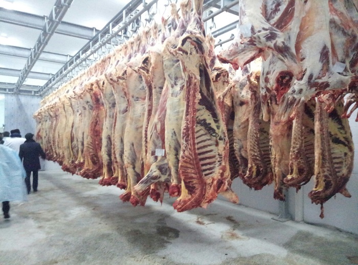 ارقالىقتا قۋاتتى, زاماناۋي ەت كومبيناتى جۇمىسىن باستادى