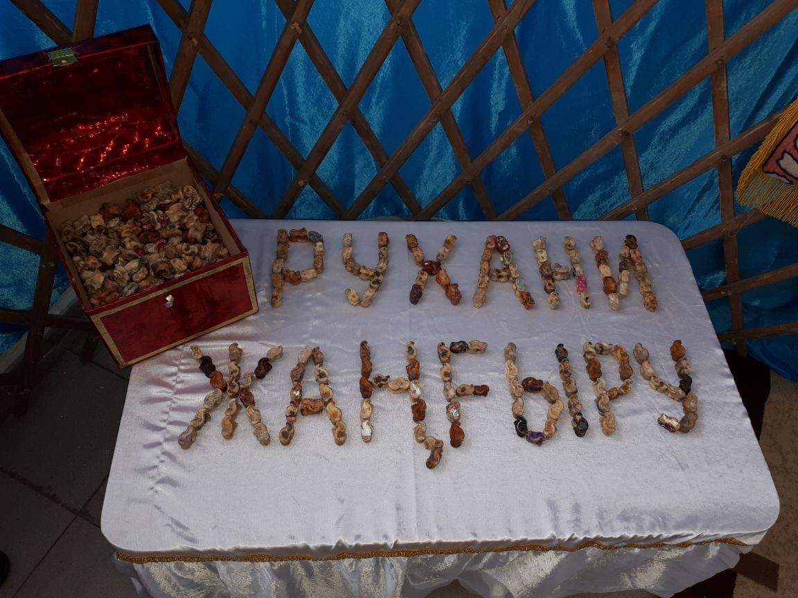 باتىس قازاقستاندا «اسىق تەراپياسى» جوباسى باستالدى