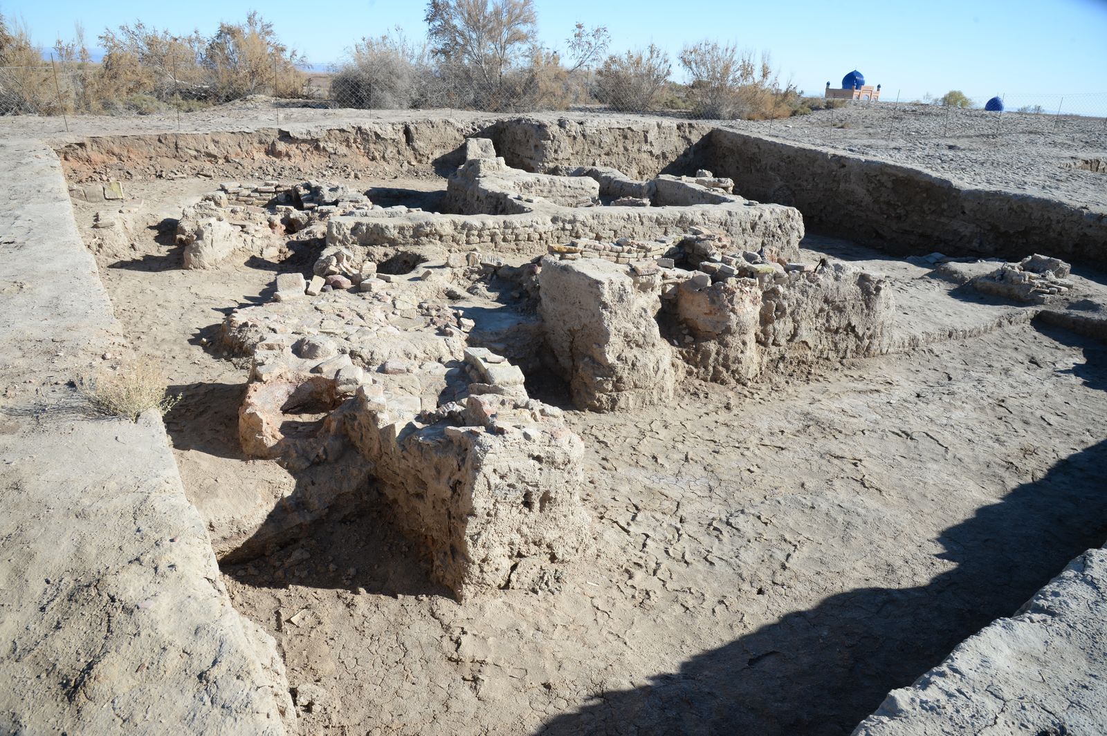 جاستارعا ارنالعان «ارحەولوگ» لاگەرى اشىلادى