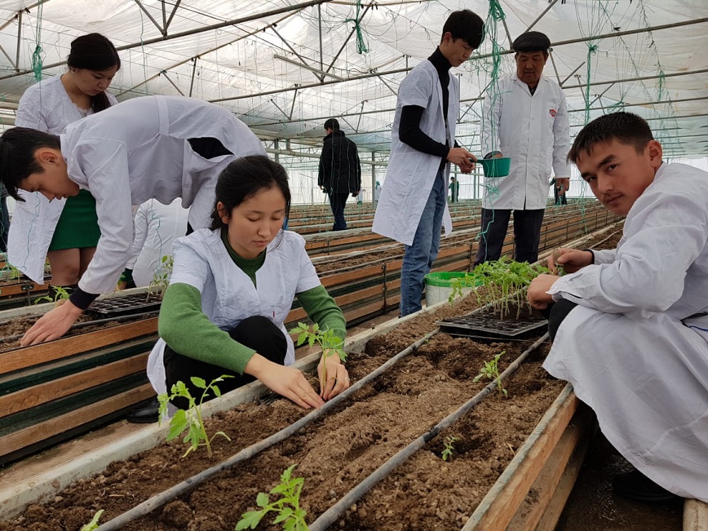 اگرارلىق ءبىلىم بەرۋدەگى بەتبۇرىس 