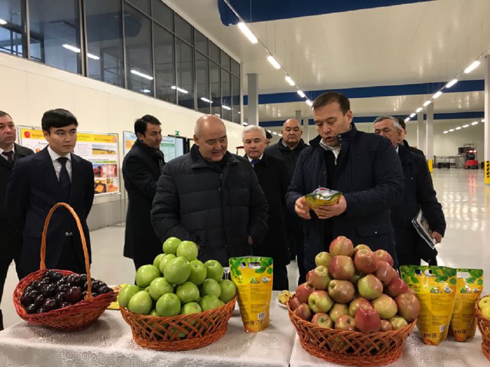 ونىمدەردى ەكسپورتتاۋ ۇلعايادى