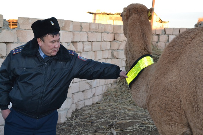 ماڭعىستاۋدا «جولدا جانۋارعا نازار اۋدار!» اكتسياسى ءوتتى