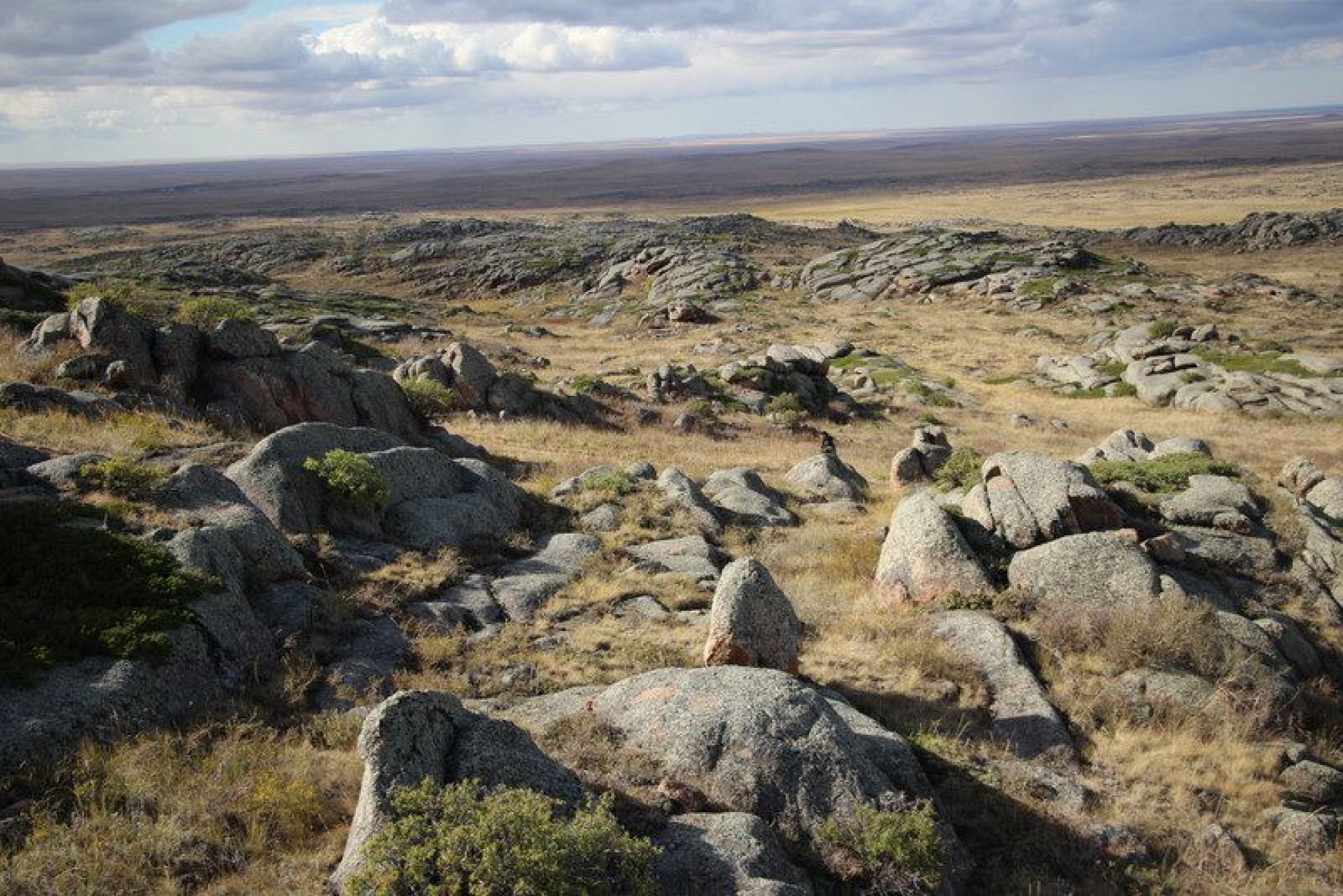 پاۆلودار وبلىسى قالماققىرىلعان تاۋىندا ارحەولوگيالىق  قازبا جۇمىستارى جۇرگىزىلۋدە