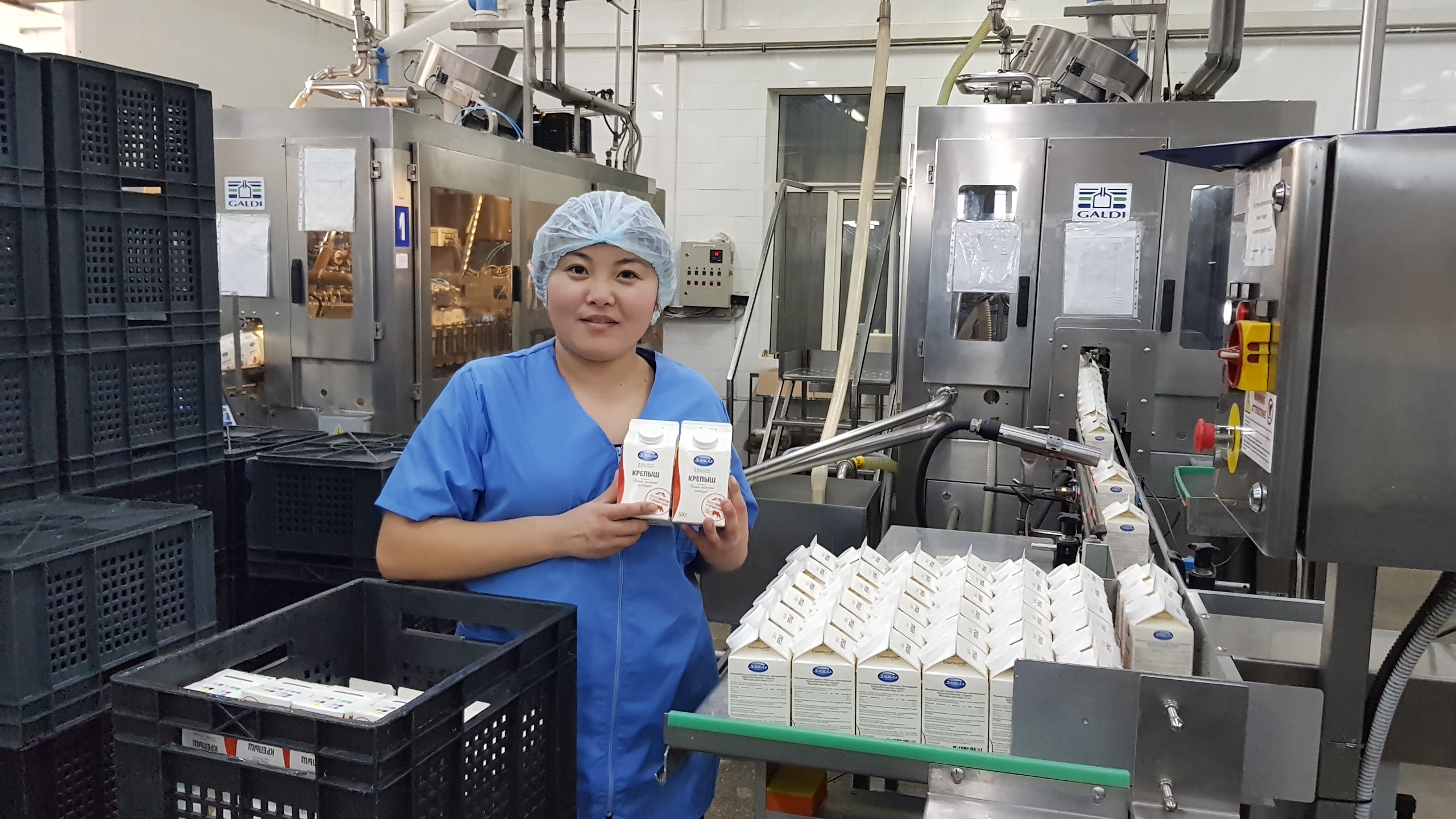 كۇنىنە 120-130 توننا ءسۇت وندىرىلەدى