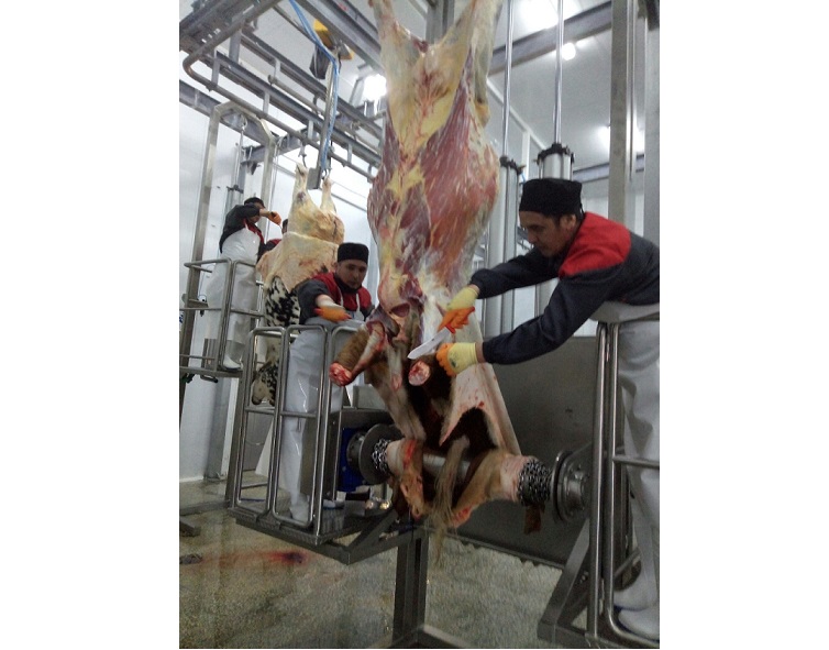 ارقالىقتا كۇنىنە 10 توننا ءونىم شىعاراتىن ەت كومبيناتى اشىلدى