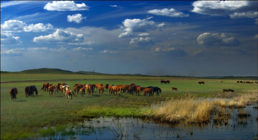 بايقاۋ لاۋرەاتتارى ماراپاتتالدى