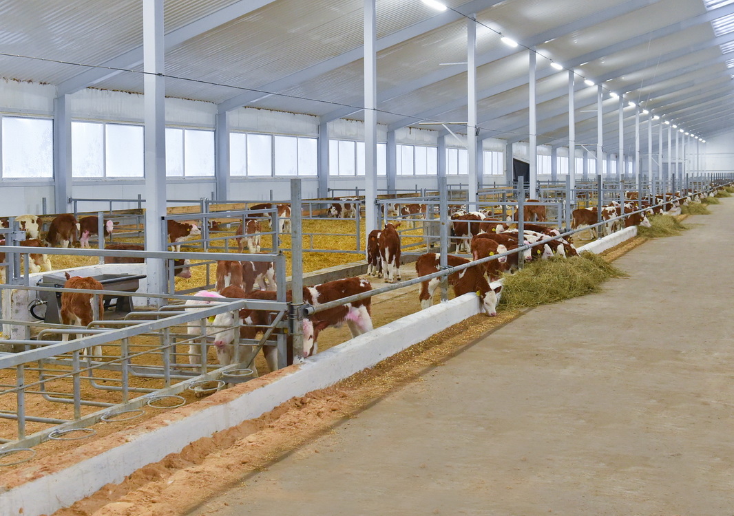 سولتۇستىك قازاقستاندا تسيفرلى ءسۇت فەرماسى ىسكە قوسىلدى