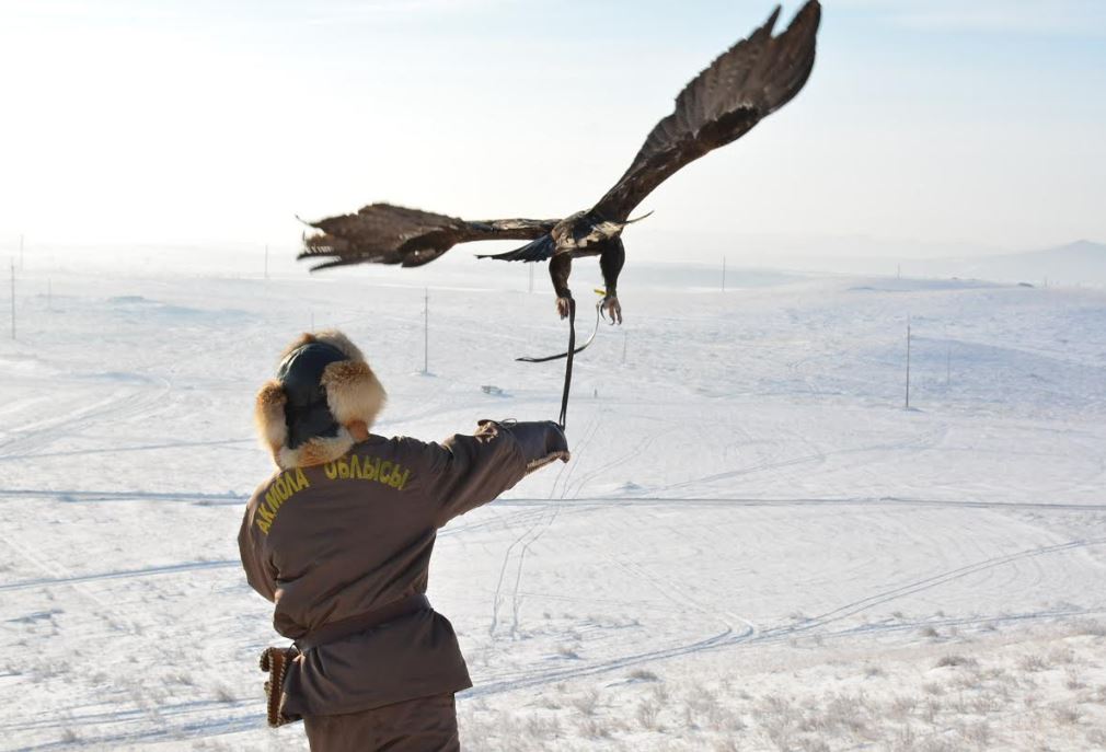 بۋرابايدا «قانسونار-2018» حالىقارالىق ءتۋرنيرى وتكىزىلدى