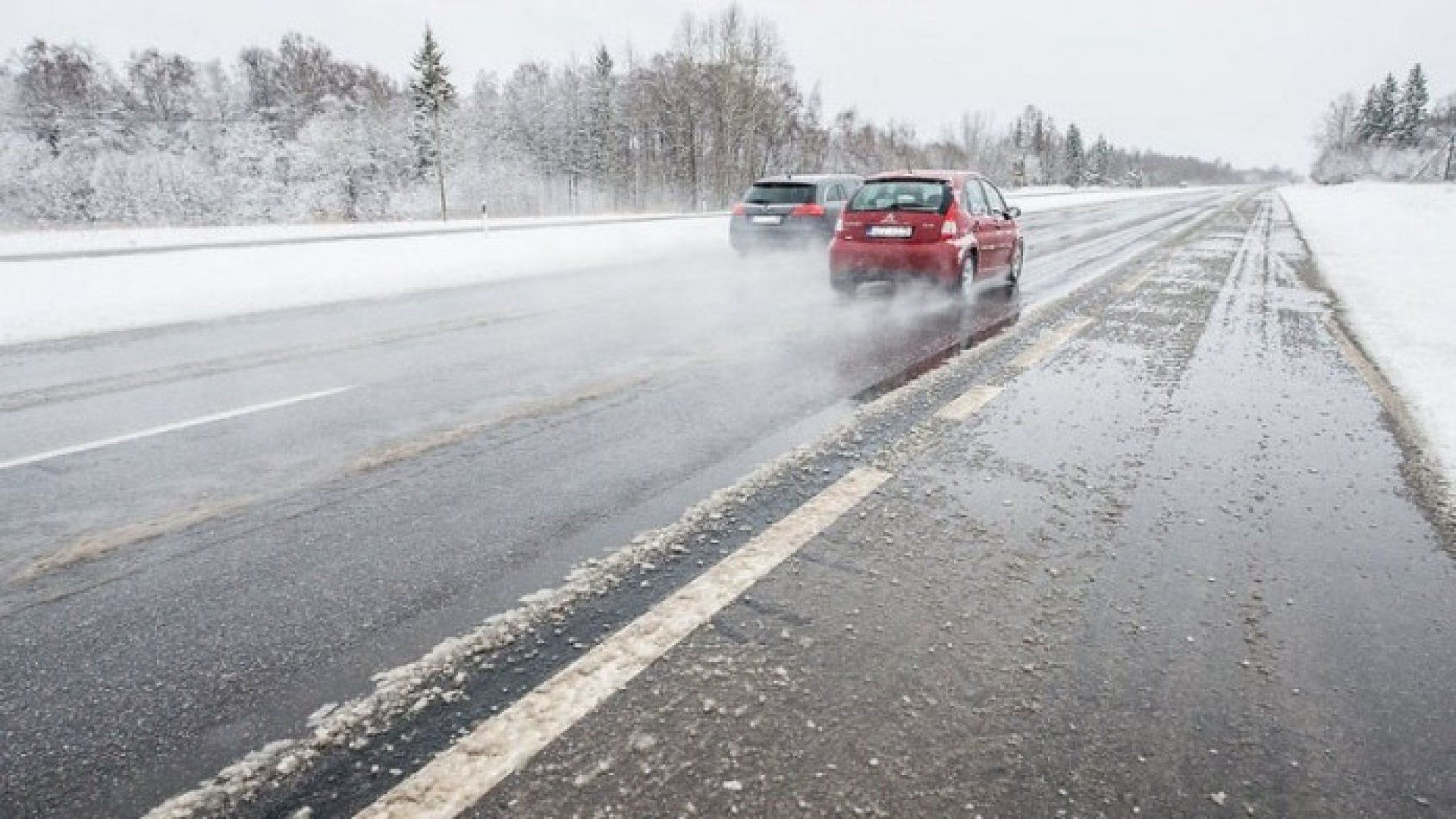 اقتوبە وبلىسىندا كوكتايعاققا قارسى 16 مىڭ توننادان استام قوسپالار دايىندالدى