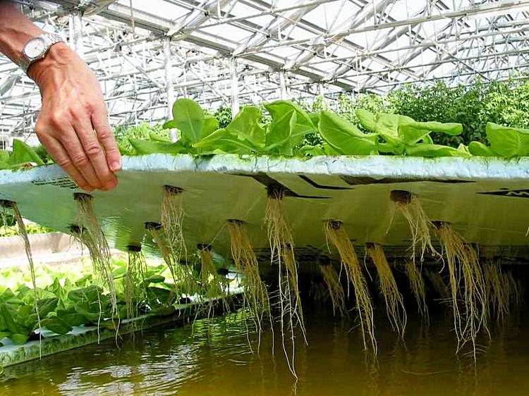 «اگرارلىق عىلىم. بولاشاق بۇگىننەن باستالادى» اتتى پىكىرتالاس ءوتتى