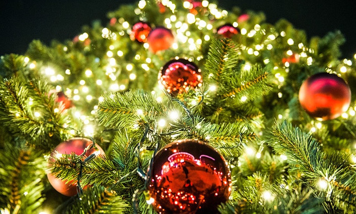 كوكشەتاۋداعى ارنايى تۇزەتۋ مەكتەپ-ينتەرناتىنىڭ وقۋشىلارى جاڭا جىل مەرەكەسىن قارسى الۋدا