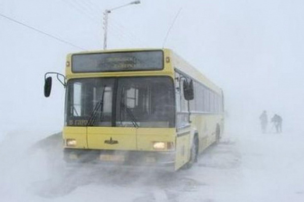 قوستاناي وبلىسىندا 14 ادام ايازدان قۇتقارىلدى