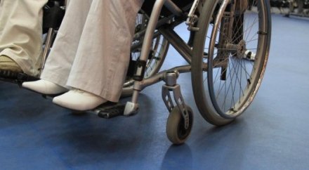 مۇمكىندىگى شەكتەۋلى جاندار ەمدەلۋ ءۇشىن شيپاجايدى ءوزى تاڭدايتىن بولادى