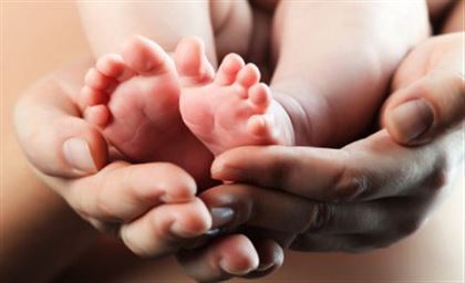 شىمكەنتتە 1 قاڭتار كۇنى 60 نارەستە دۇنيە ەسىگىن اشتى