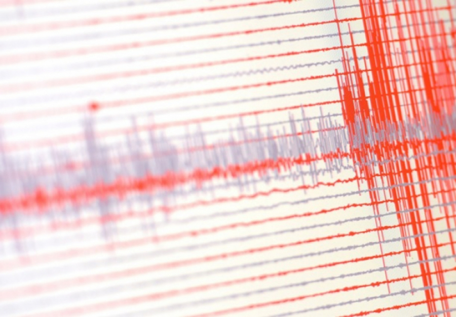 مەكسيكادا توعىز رەت جەر سىلكىندى