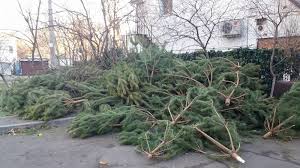 قاراعاندىنىڭ حايۋاناتتار باعىندا اكتسيا باستالدى