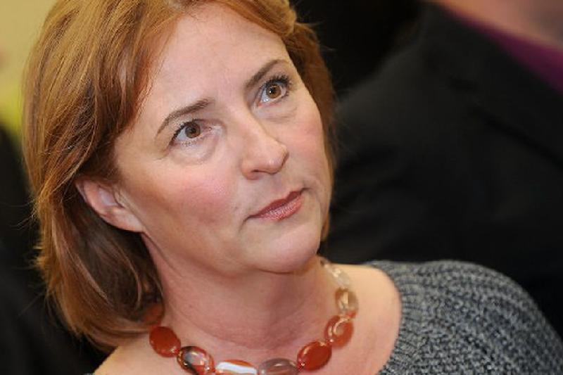 ەۋروپارلامەنت قازاقستاندىقتاردىڭ سيريادان ەۆاكۋاتسيالانۋىن جوعارى باعالادى