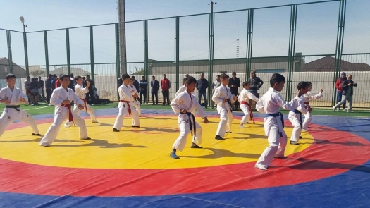 قاراقيادا كاسىپكەرلەر كوبەيىپ كەلەدى