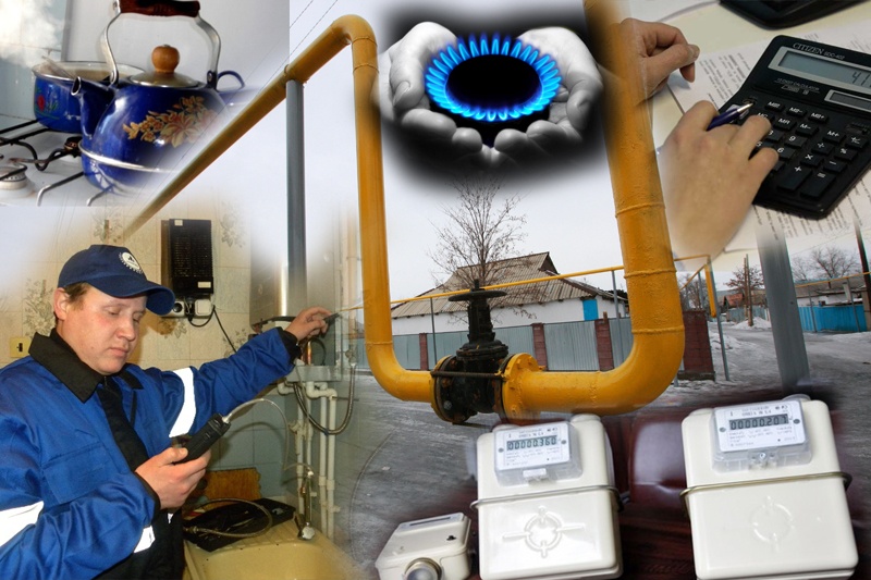 بايدىبەكتىكتەرگە كوگىلدىر وتىن نەگە بەرىلمەگەن؟