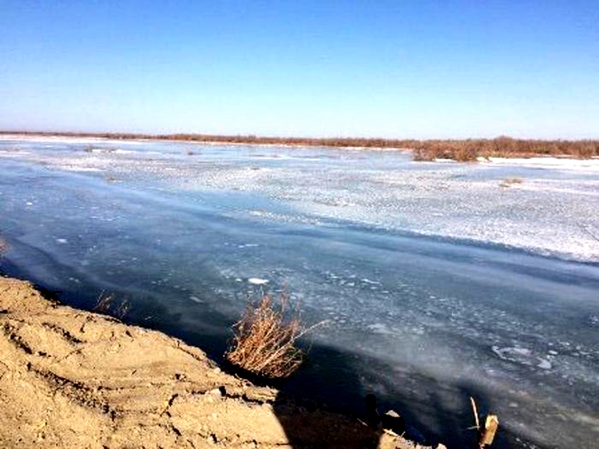 مۇز كەپتەلسە, سۋ جايىلىمدىق جەرگە اعادى