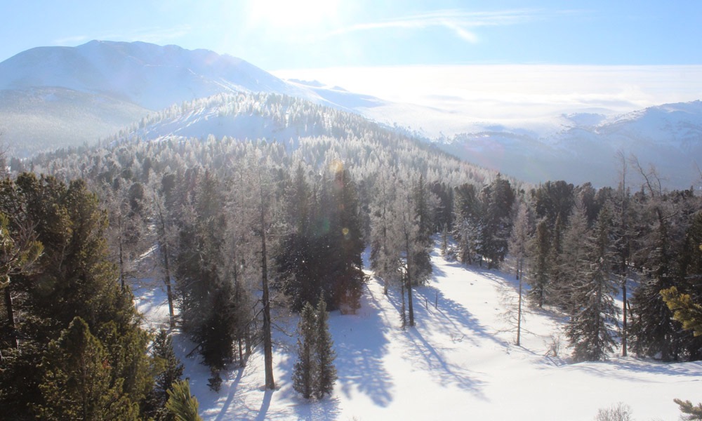 شقو باتىس التاي قورىعىنىڭ قىسقى كورىنىستەرى