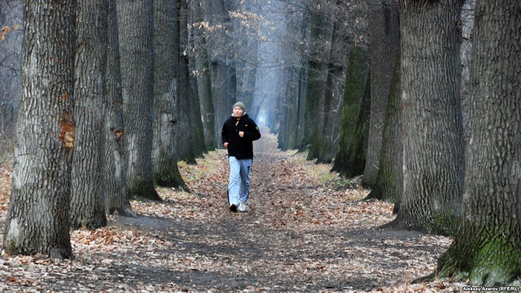 الماتىداعى باۋم توعايى تۇرلەنە تۇسپەك