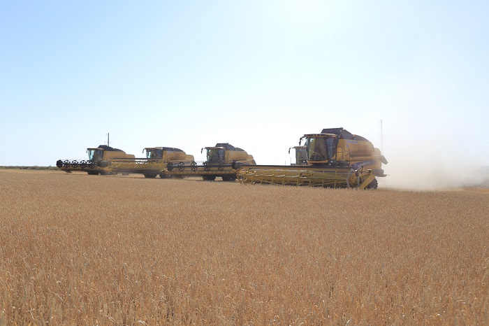 اقتوبە وبلىسىنىڭ شارۋالارى بىلتىر 228 ملرد تەڭگەنىڭ ءونىمىن ءوندىردى