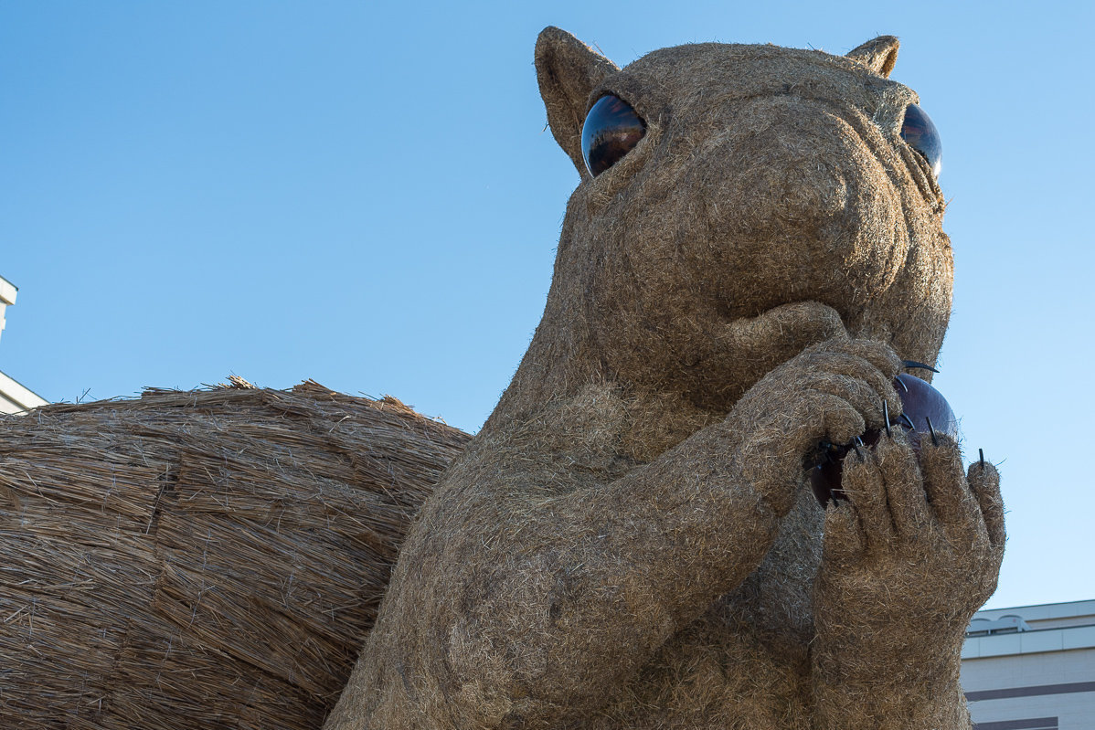الماتىداعى اتاقتى «بەلكا» بۇزىلماۋى مۇمكىن