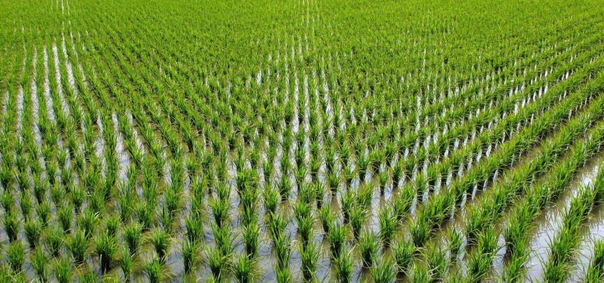 قارماقشىداعى زاۋىت قالدىقسىز جۇمىس ىستەيدى