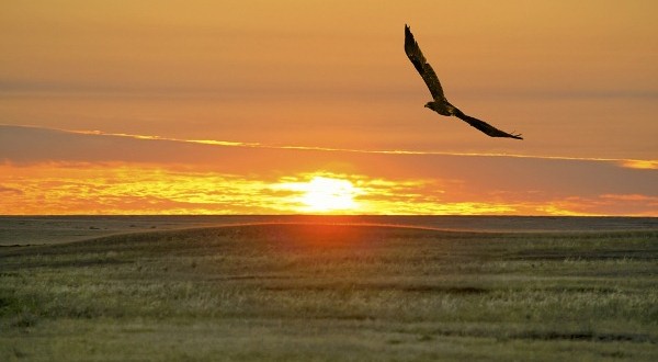 ەل ەدىك ەجەلدەن ەڭسەلى