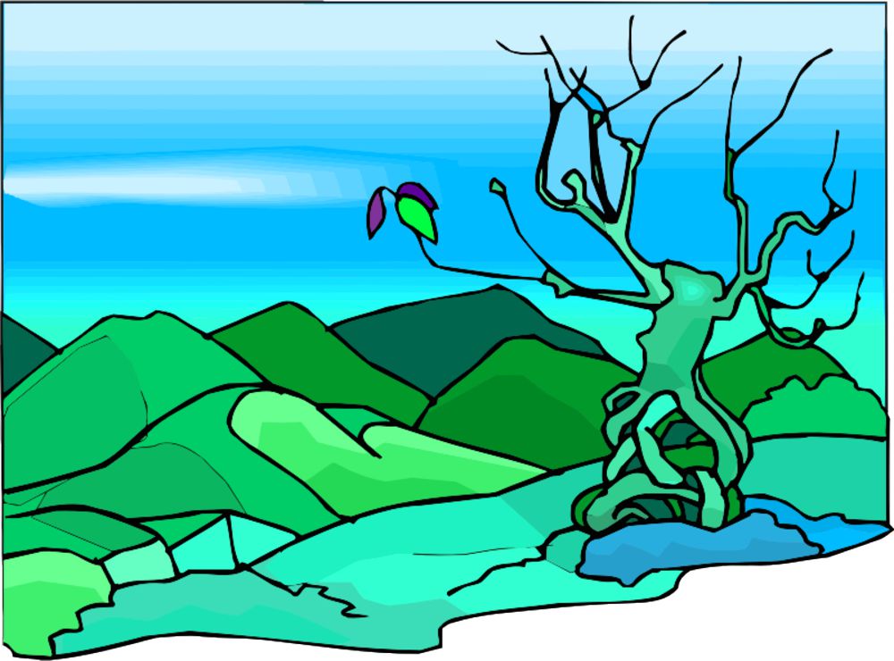 بايتەرەك – بۇل قاي تەرەك؟!