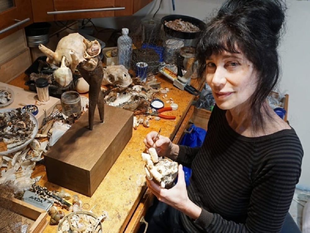 سۋرەتشىنى ونەرى ولتىرە جازدادى