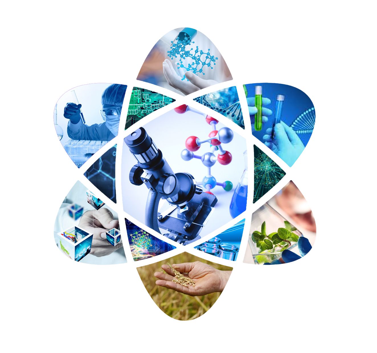 عىلىم دەڭگەيى نەگە تومەن؟