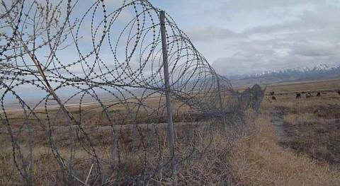 شەكارا بۇزعان ازامات قازا تاپتى