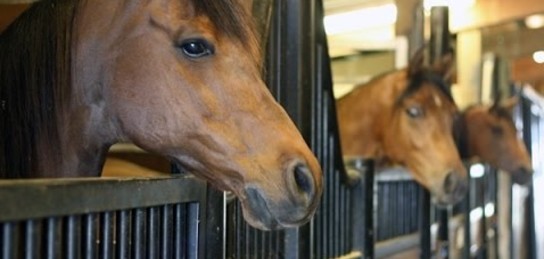 بەرەكە بەلسەندىگە بىتەدى